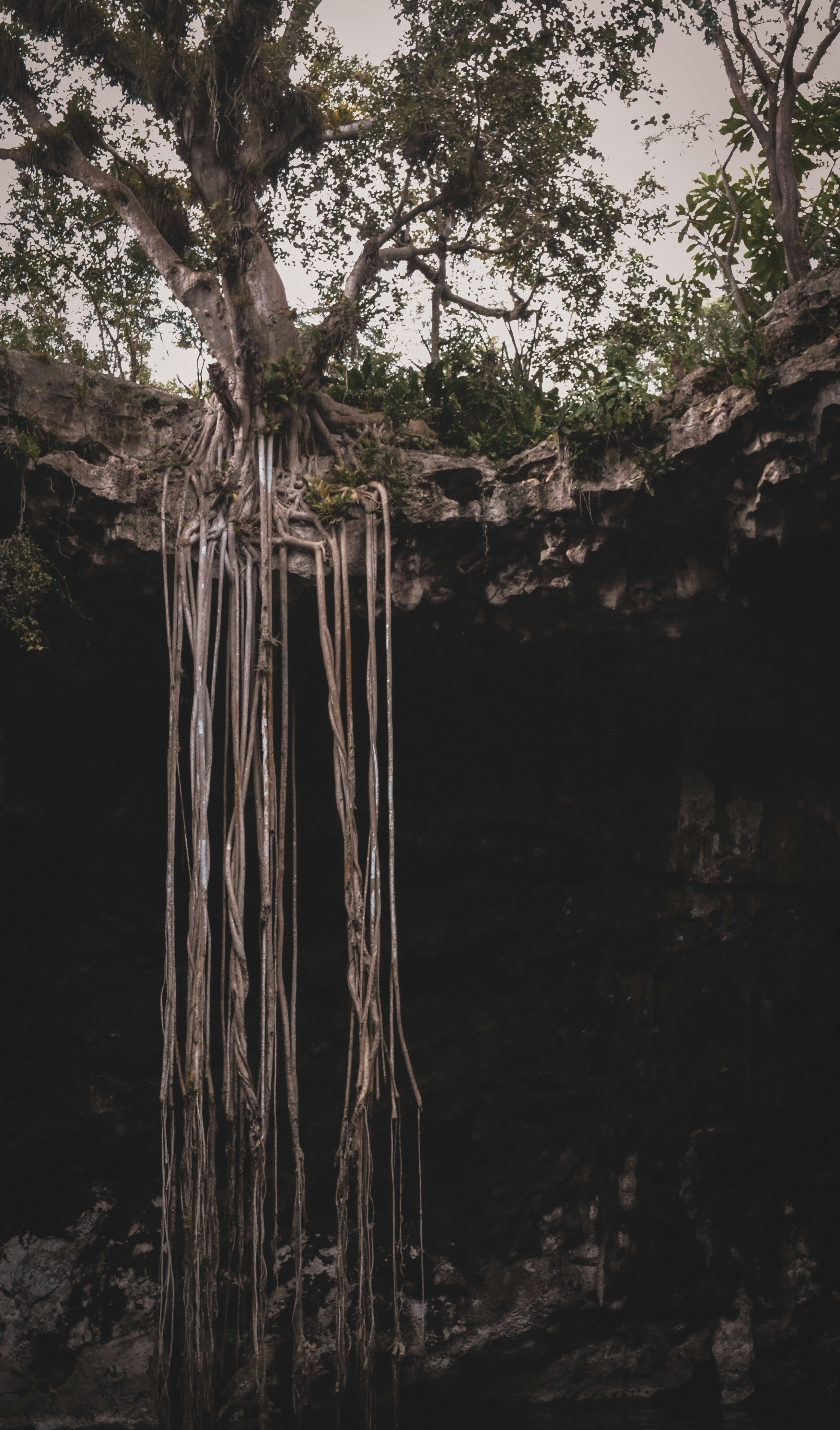A 28-Day Somatic + Devotional Journey for the Woman Who Has Been Strong for So Long, She Is Ready to Feel Safe Enough to Soften